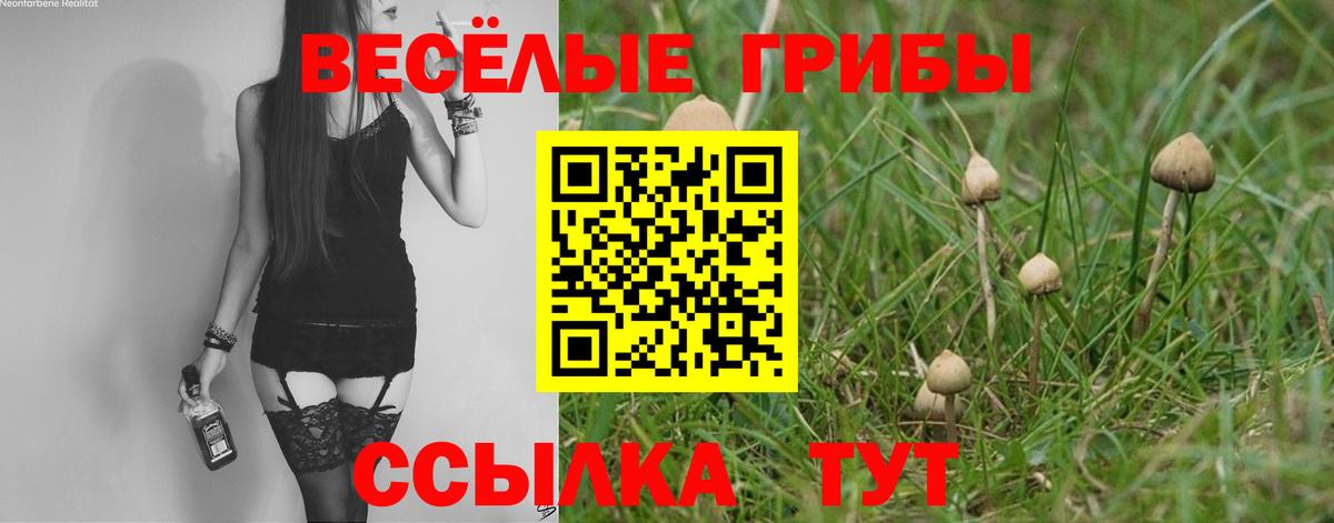Псилоцибиновые грибы Psilocybine cubensis  Вход с VPN  Зеленодольск  Псилоцибиновые грибы прущие грибы 